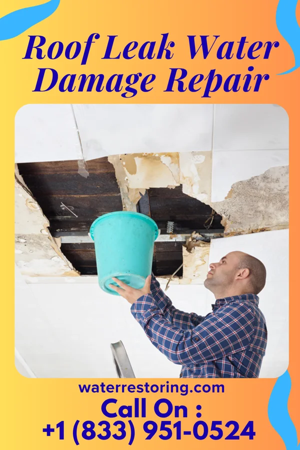 Roof Leak Water Damage Repair in Parker, SC