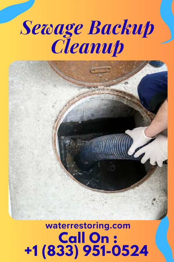 Sewage Backup Cleanup in Parker, SC